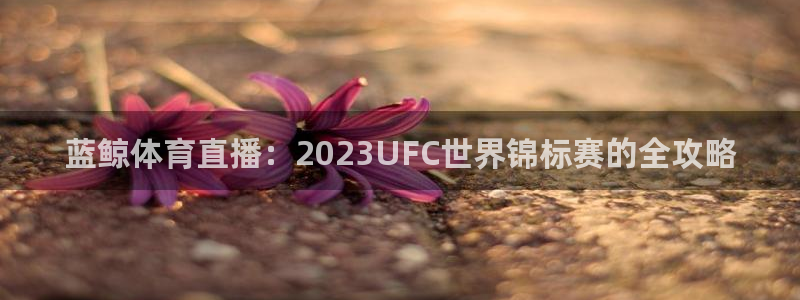 新闻图片