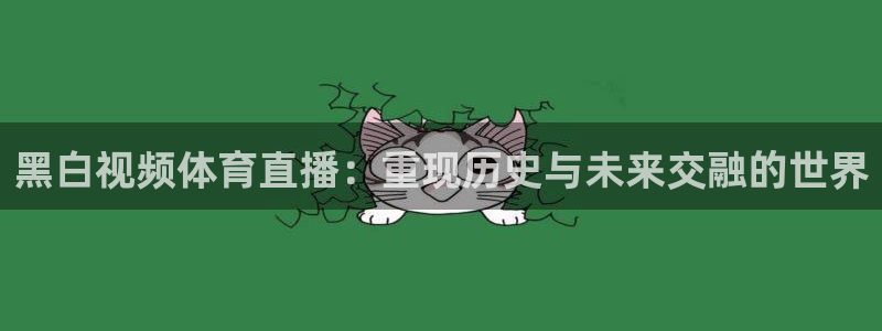 黑白视频体育直播：重现历史与未来交融的世界