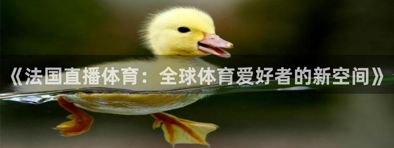 《法国直播体育：全球体育爱好者的新空间》
