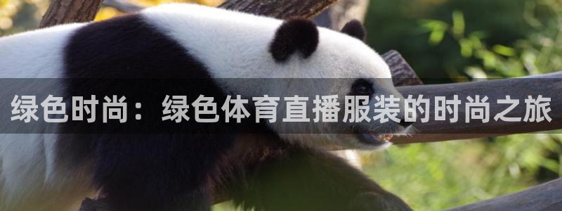 绿色时尚：绿色体育直播服装的时尚之旅
